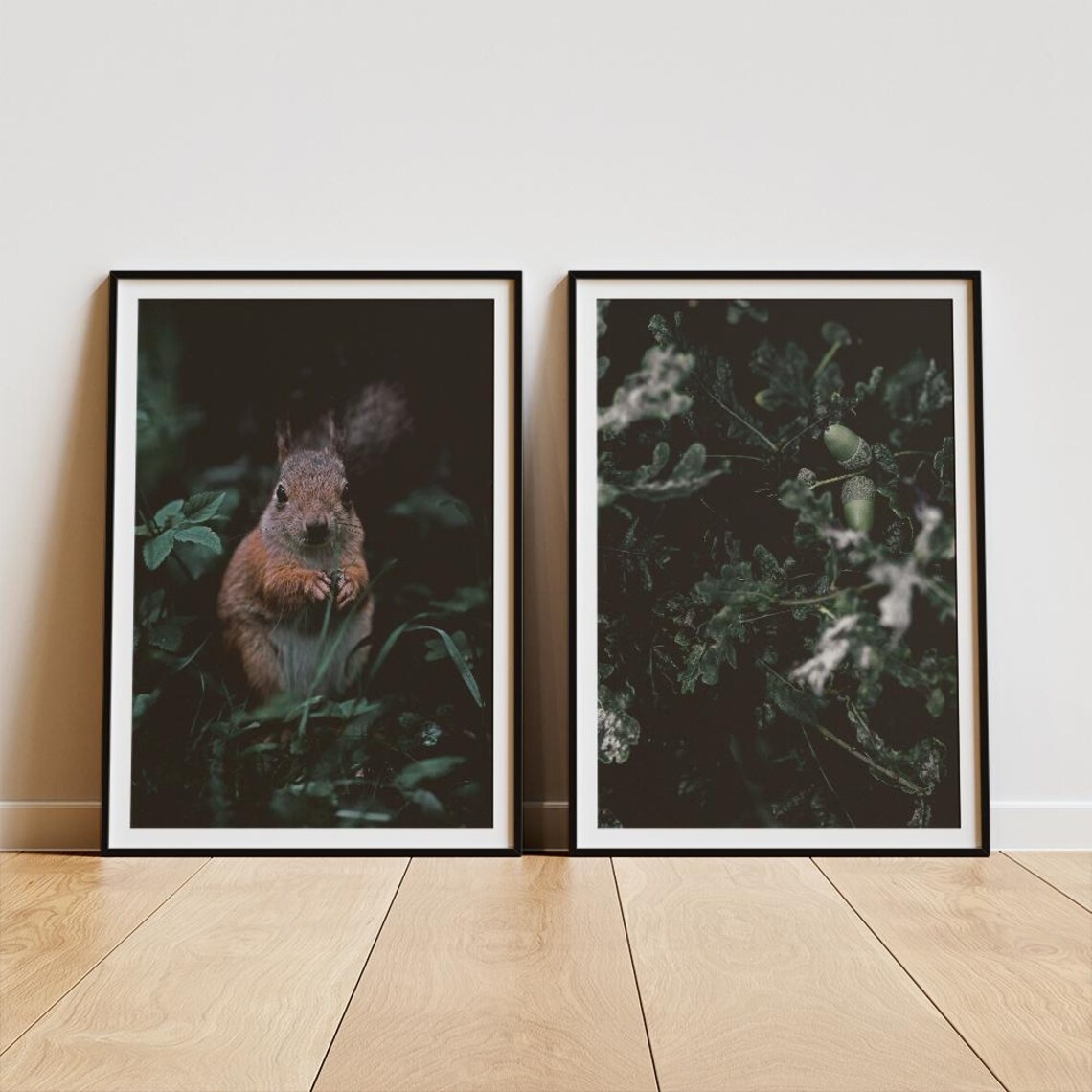 Red Squirrel and Oak Acorn Dark Forest Pair Photo Set Poster