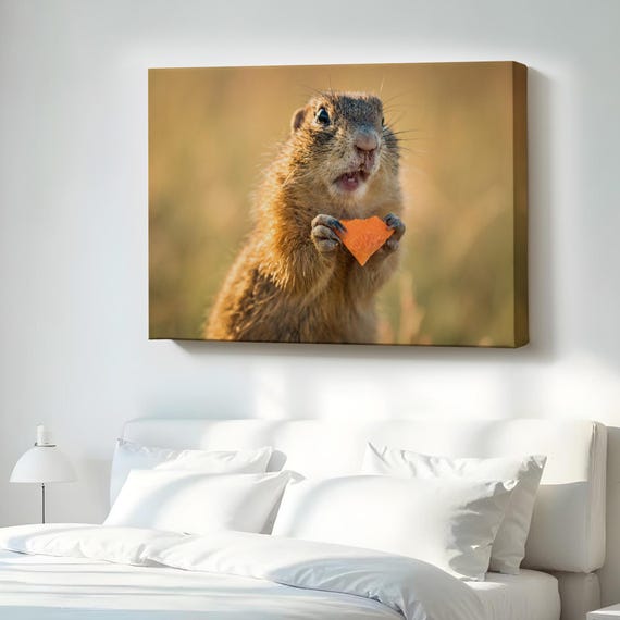 Surprised Squirrel Decorative Canvas Painting Animal Modern Wall Art Decor Housewarming Gifts Large