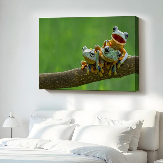 Three Green Tree Frogs Stacked On A Branch Wildlife Macro Canvas Print