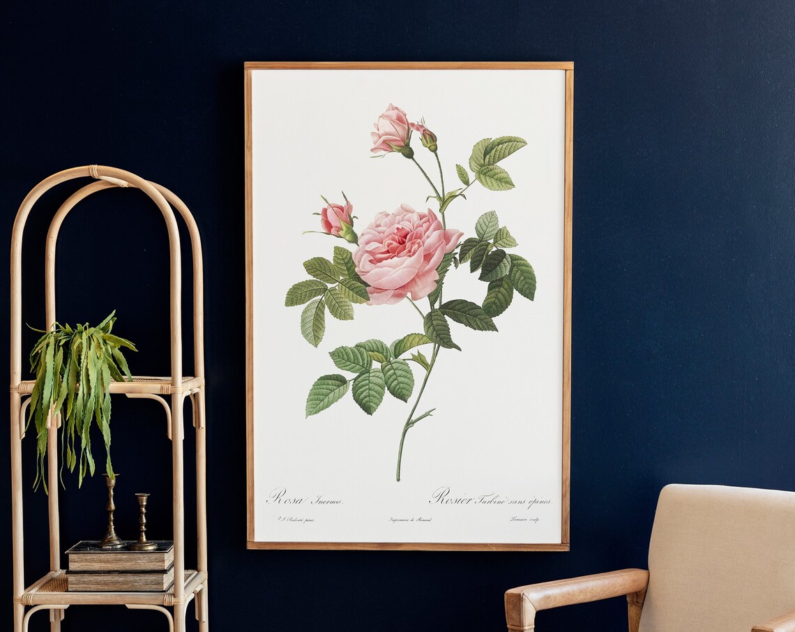 Pink Rose Floral Art Print, Living Room Decor