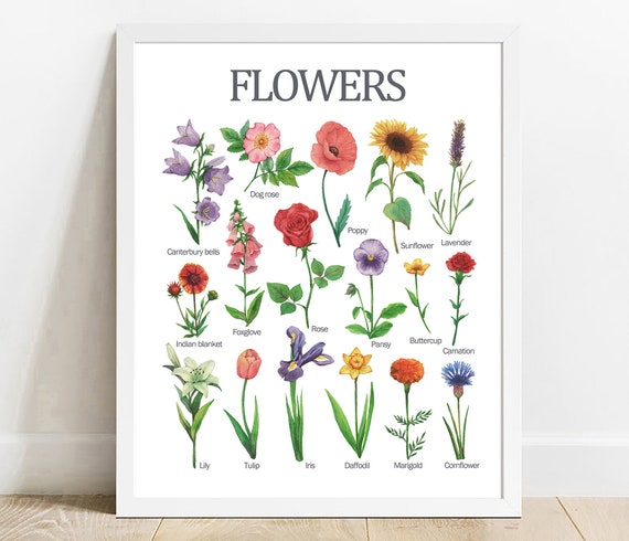 Watercolor Flowers Chart Educational Nursery Decor