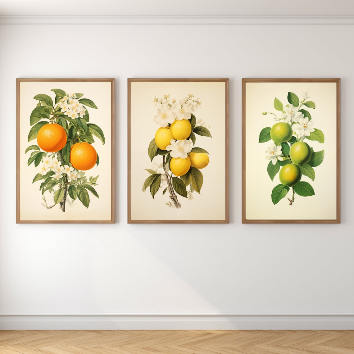 Vintage Citrus Print Set, Botanical Poster Print - Image 6