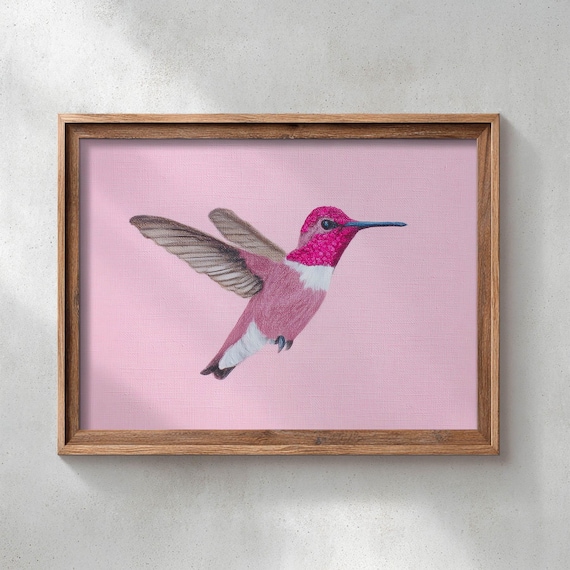 Pink Hummingbird in Flight Cute Watercolor Bird Room Art Poster