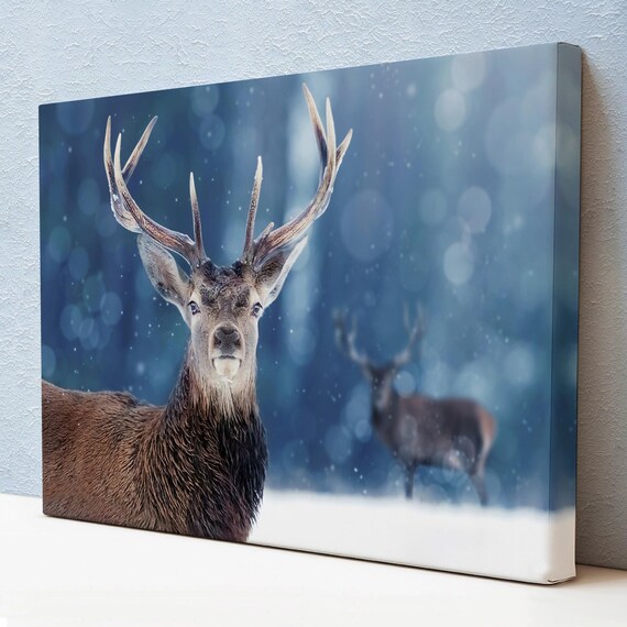 Majestic Stag Winter Snow Forest Close Portrait Blue Moody Wall Art