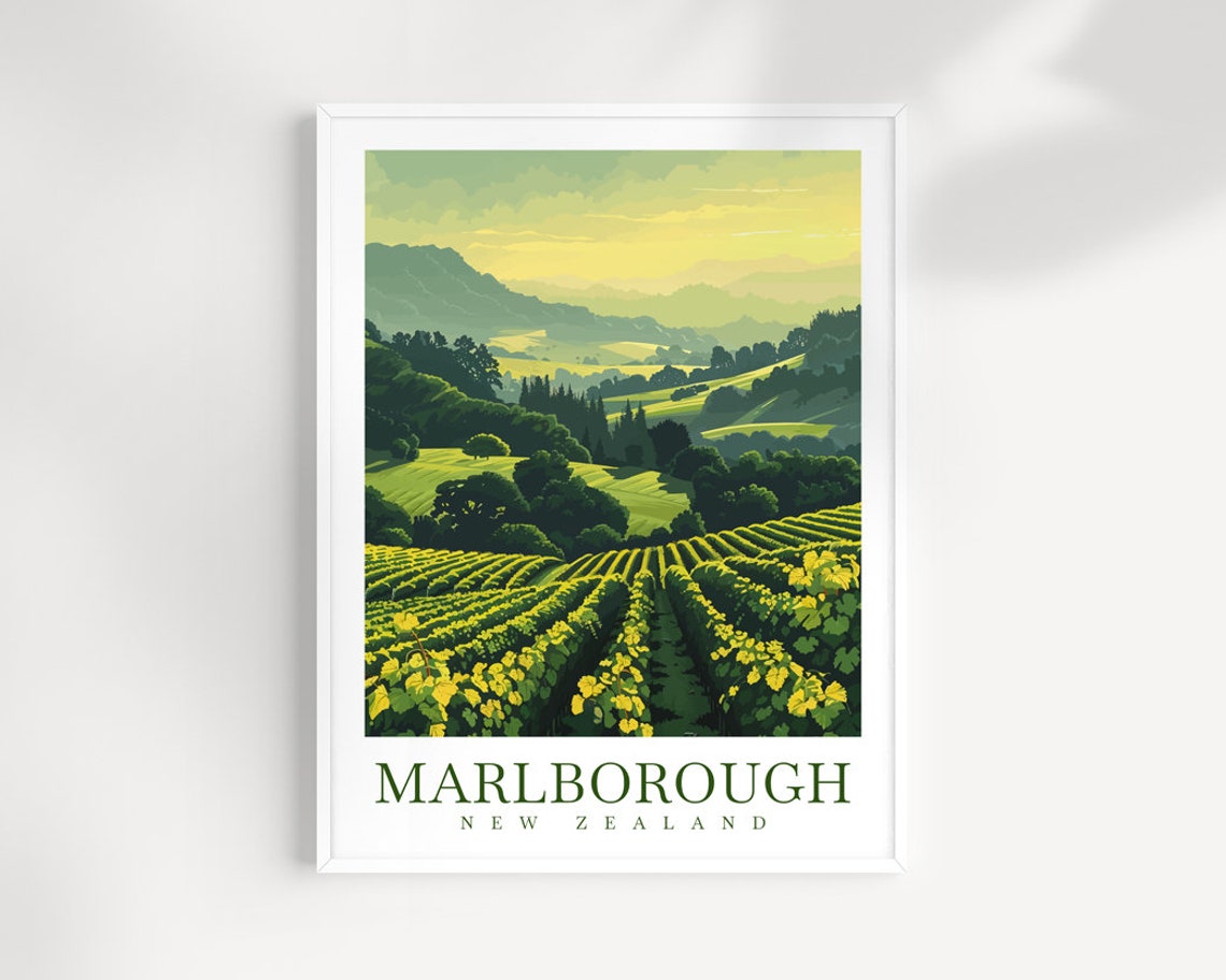 Marlborough New Zealand Rolling Vineyard Rows at Sunrise Travel Poster