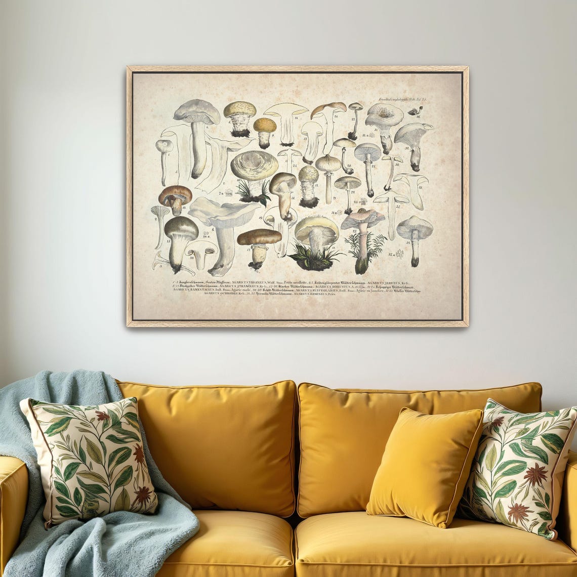 Vintage Mushroom Identification Chart Botanical Illustration Poster - Image 5