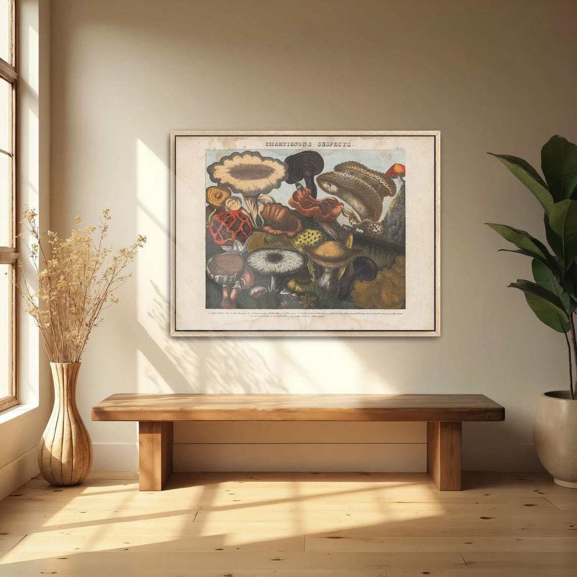 Champignons Suspects Vintage Mushroom Chart Kitchen Art Poster - Image 2