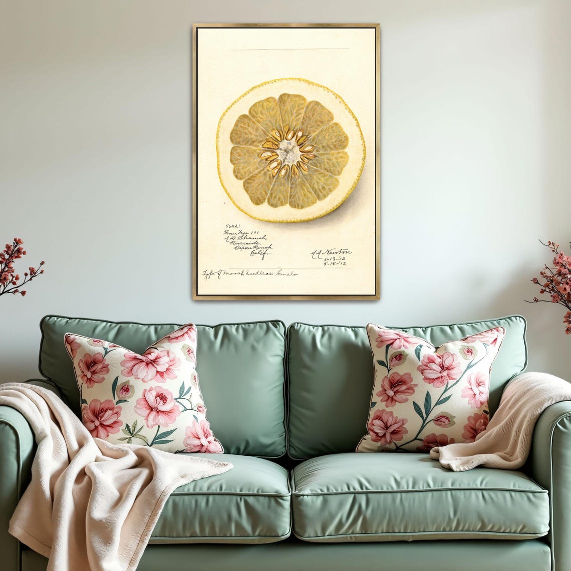 Citrus Fruit Cross Section Vintage Pomelo Slice Botanical Art Poster