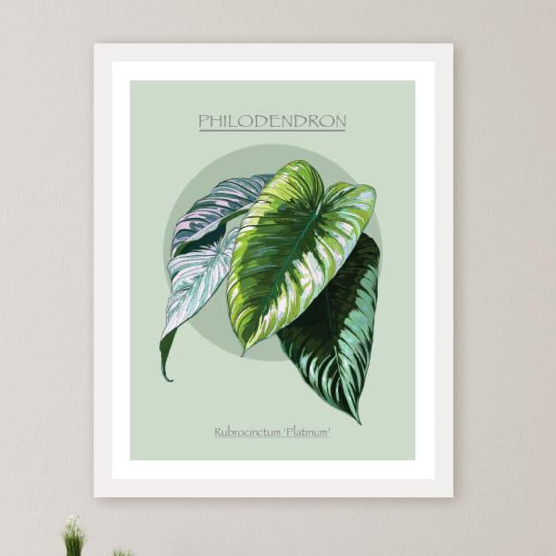 Instant Botanical Wall Art Sage Green Philodendron Modern Plant Decor