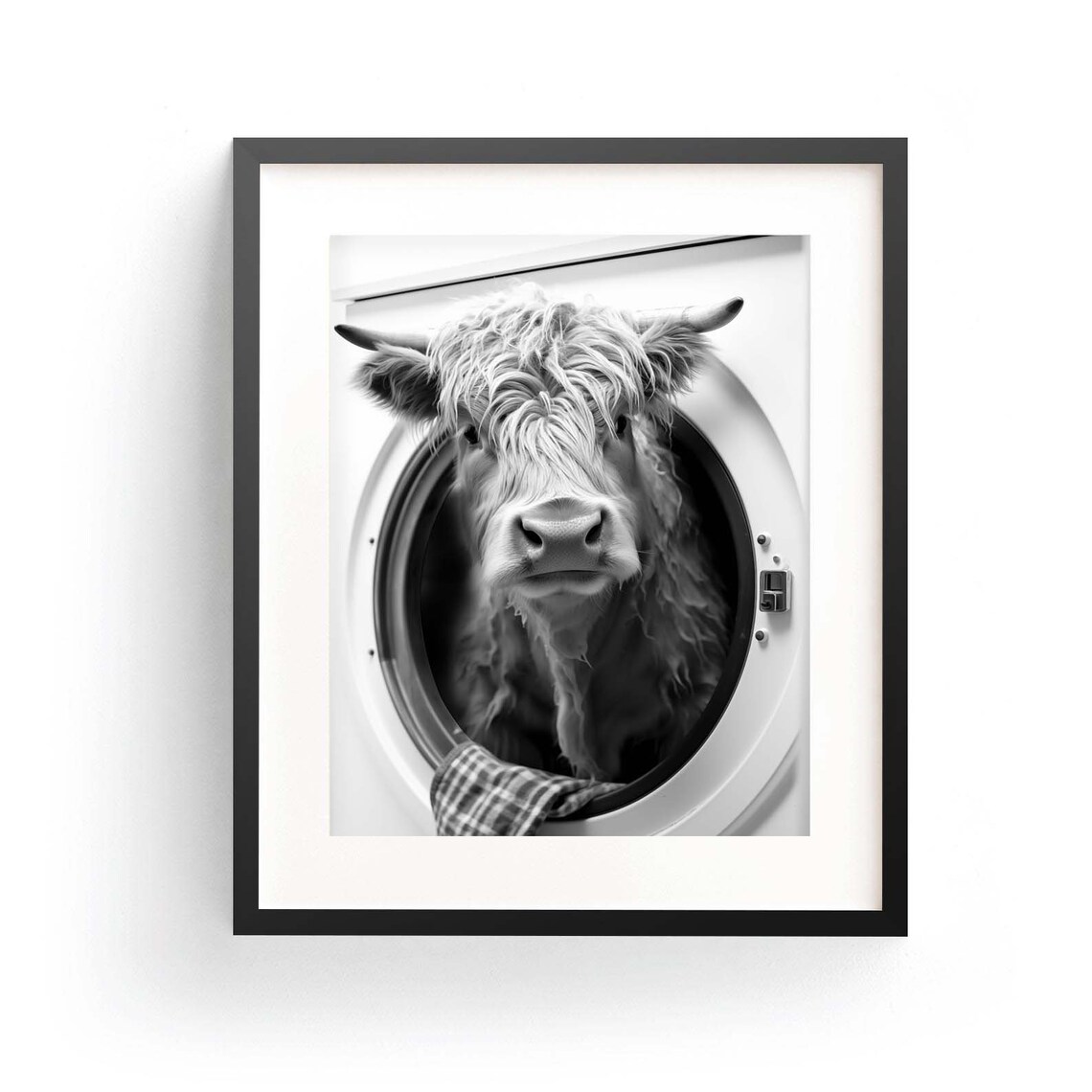 Cow Laundry Art, Funny Highland Cow Poster
