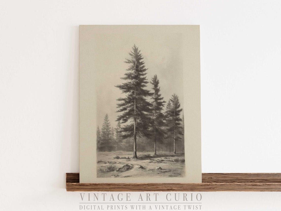Vintage Pine Tree Forest Pencil Sketch Rustic Cabin Lodge Art Poster