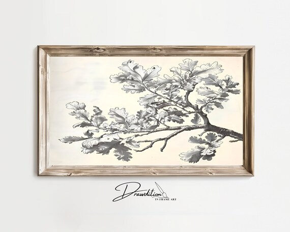 Tv Frame Art Tree Branch Tv Frame Art Oak Branch Drawing Tv Frame Art Oak Branch Sketch Tv Frame Art Tree Sketch Tv Art