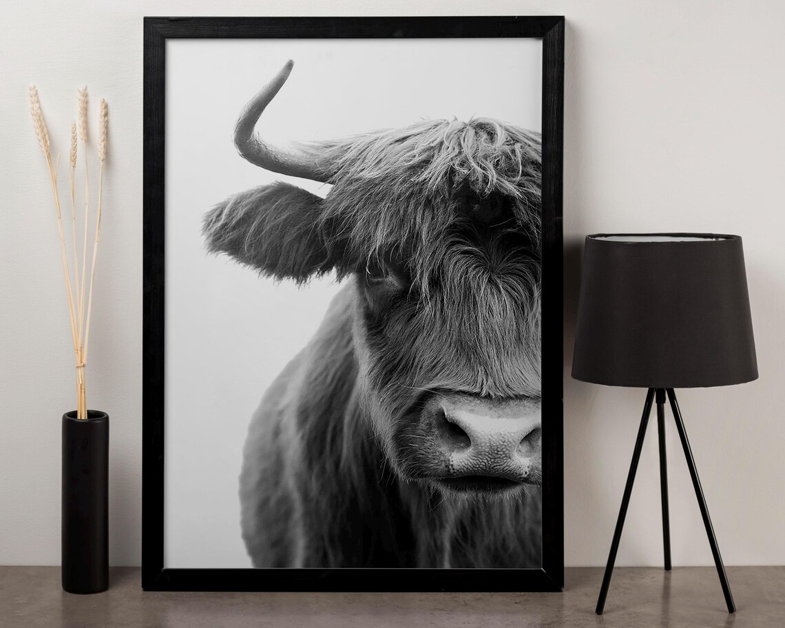 Shaggy Highland Cow Black And White Close-Up Photography Wall Art - Image 4