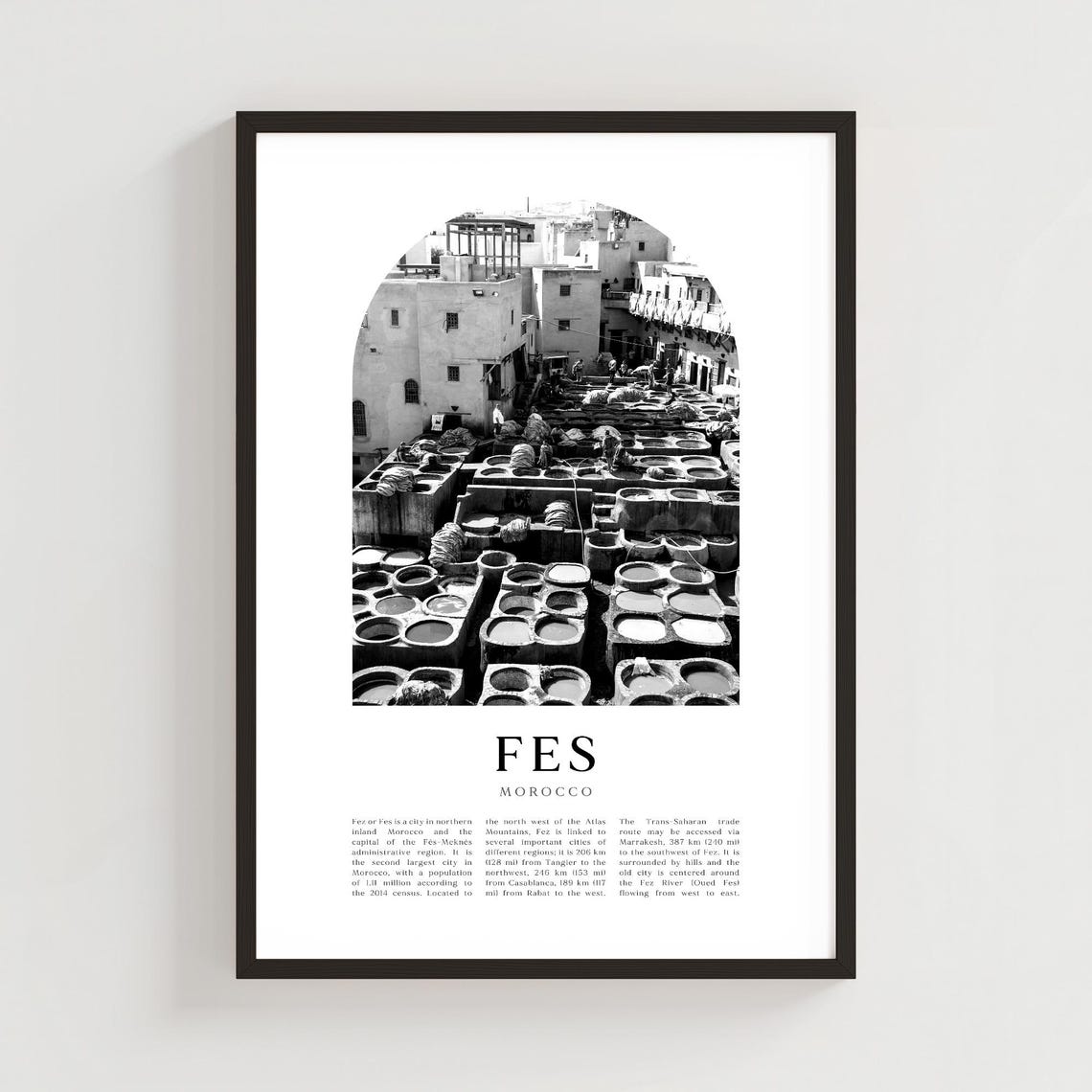Fes Morocco Tannery Dye Pits Black and White Photography Poster