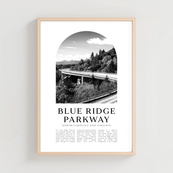 Blue Ridge Parkway Viaduct Forest Black And White Photo Poster