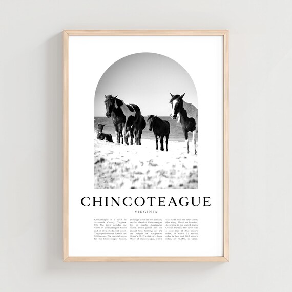 Chincoteague Virginia Wild Ponies Beach Black and White Photo Poster