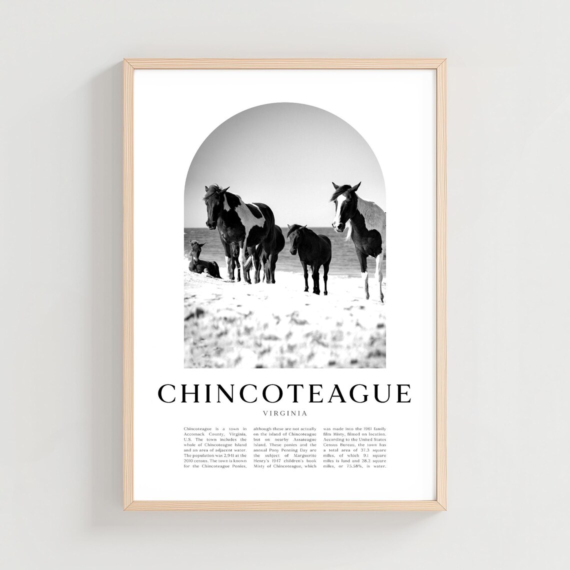 Chincoteague Virginia Wild Ponies Beach Black and White Photo Poster