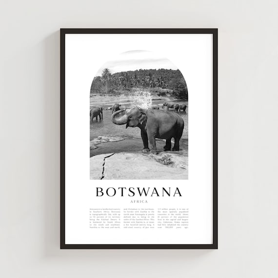 Botswana Africa Elephants River Bathing Black and White Photo Poster