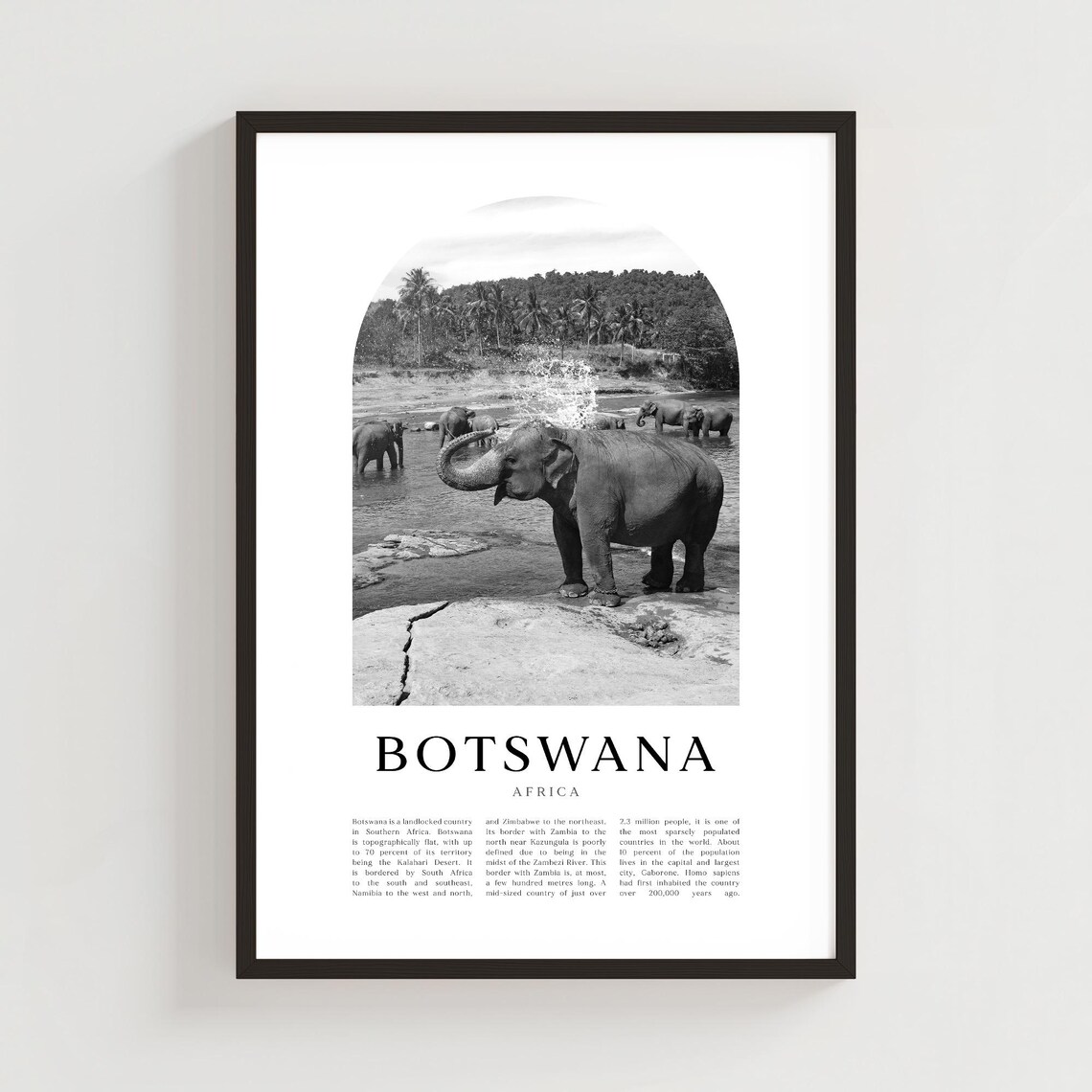 Botswana Africa Elephants River Bathing Black and White Photo Poster