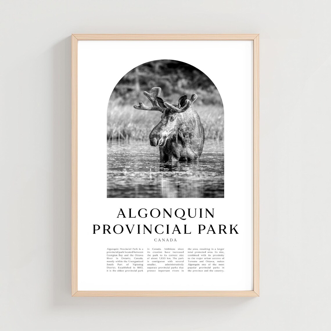 Algonquin Provincial Park Travel Poster, Canada