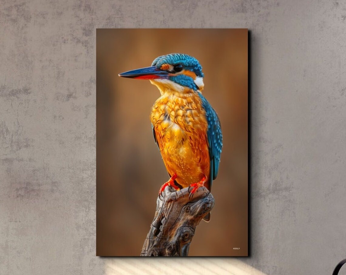 Namibia Malachite Kingfisher Art Print, Bird Nature