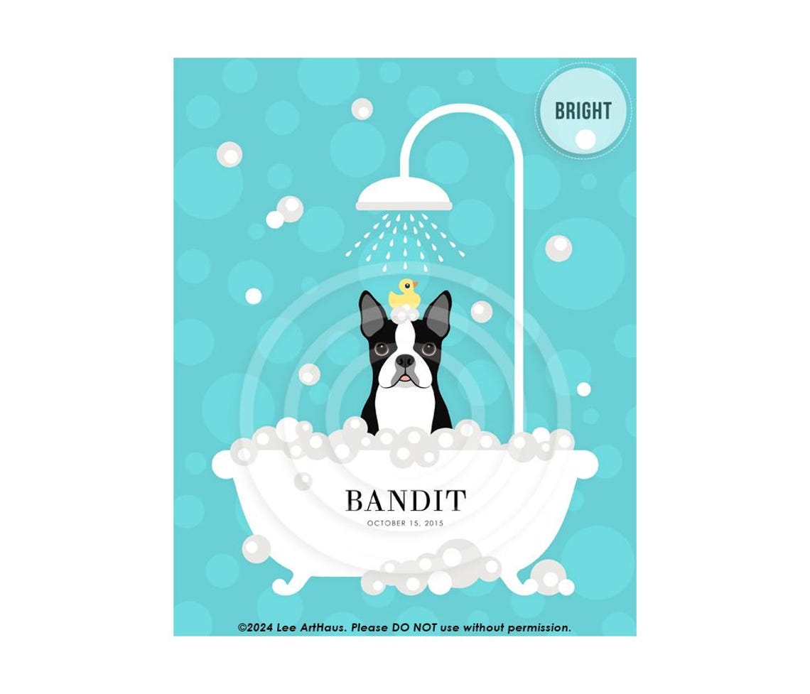 Personalized Boston Terrier In Shower Bath Name Bandit Dog Poster