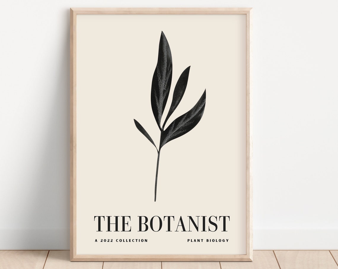 The Botanist Slender Leaf Minimalist Botanical Line Art Poster