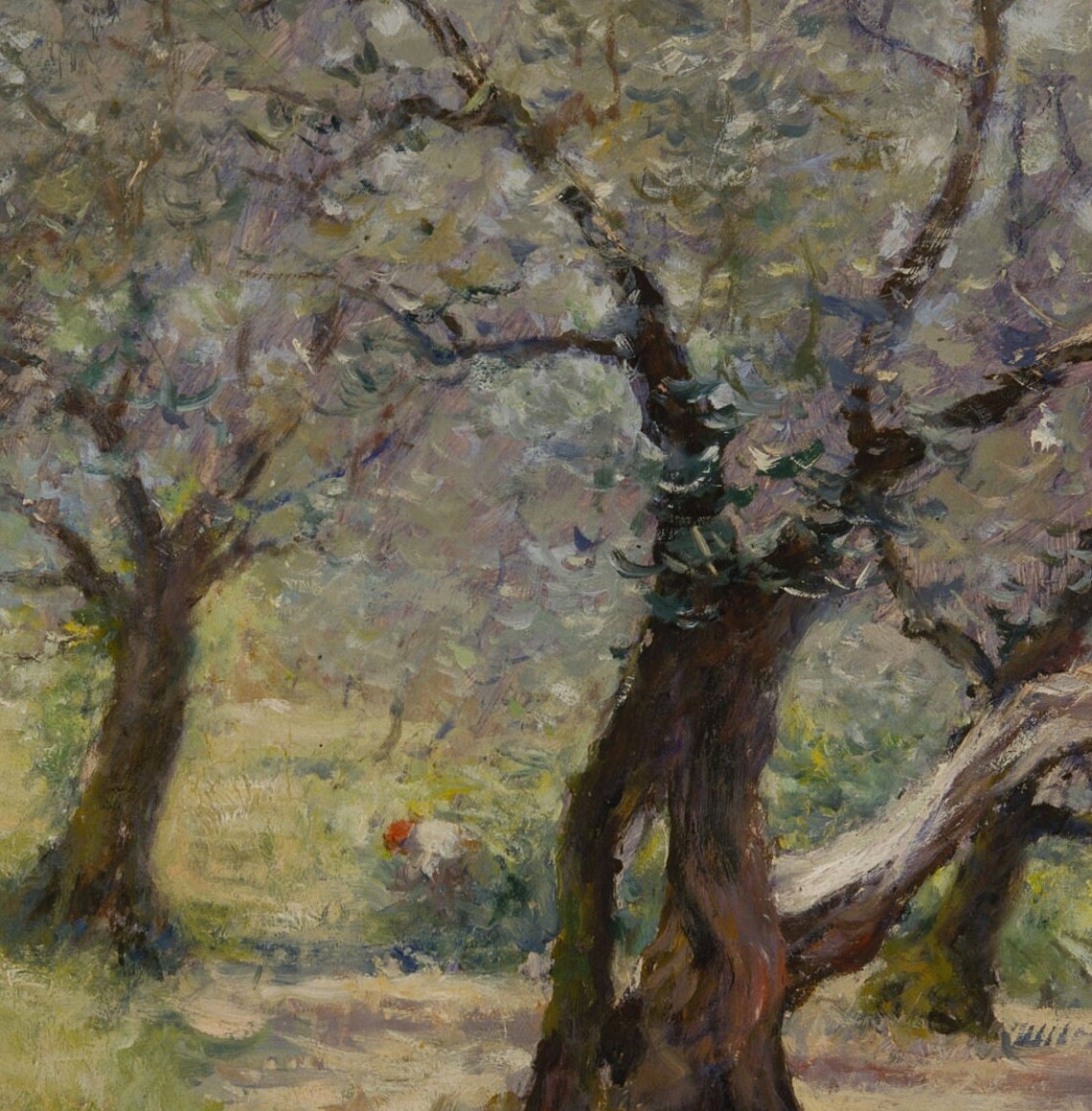 Ancient Gnarled Olive Trees in a Sun Dappled Grove Art Poster - Image 3