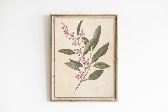 Vintage Botanical Print, Farmhouse Kitchen Decor