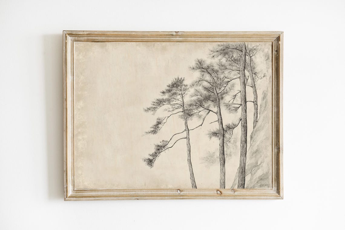 Antique Pine Tree Sketch Neutral Rustic Forest Wall Decor Poster