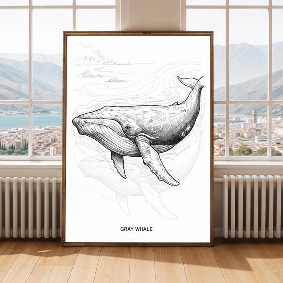 Gray Whale Ink Illustration Fine Line Art Print