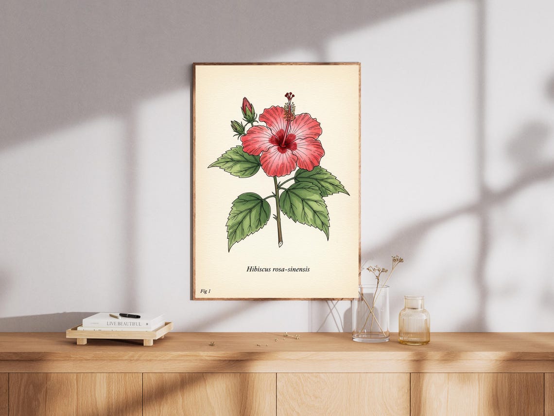 Hibiscus Botanical Print Vintage Floral Illustration Nature Wall Art