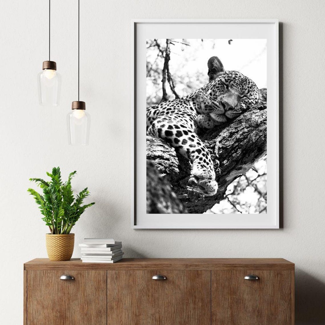 Sleeping Leopard Tree Branch Black And White Wildlife Photo Poster - Image 2