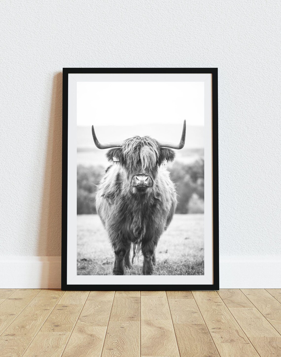 Highland Cow Portrait Black And White Farmhouse Animal Photo Print