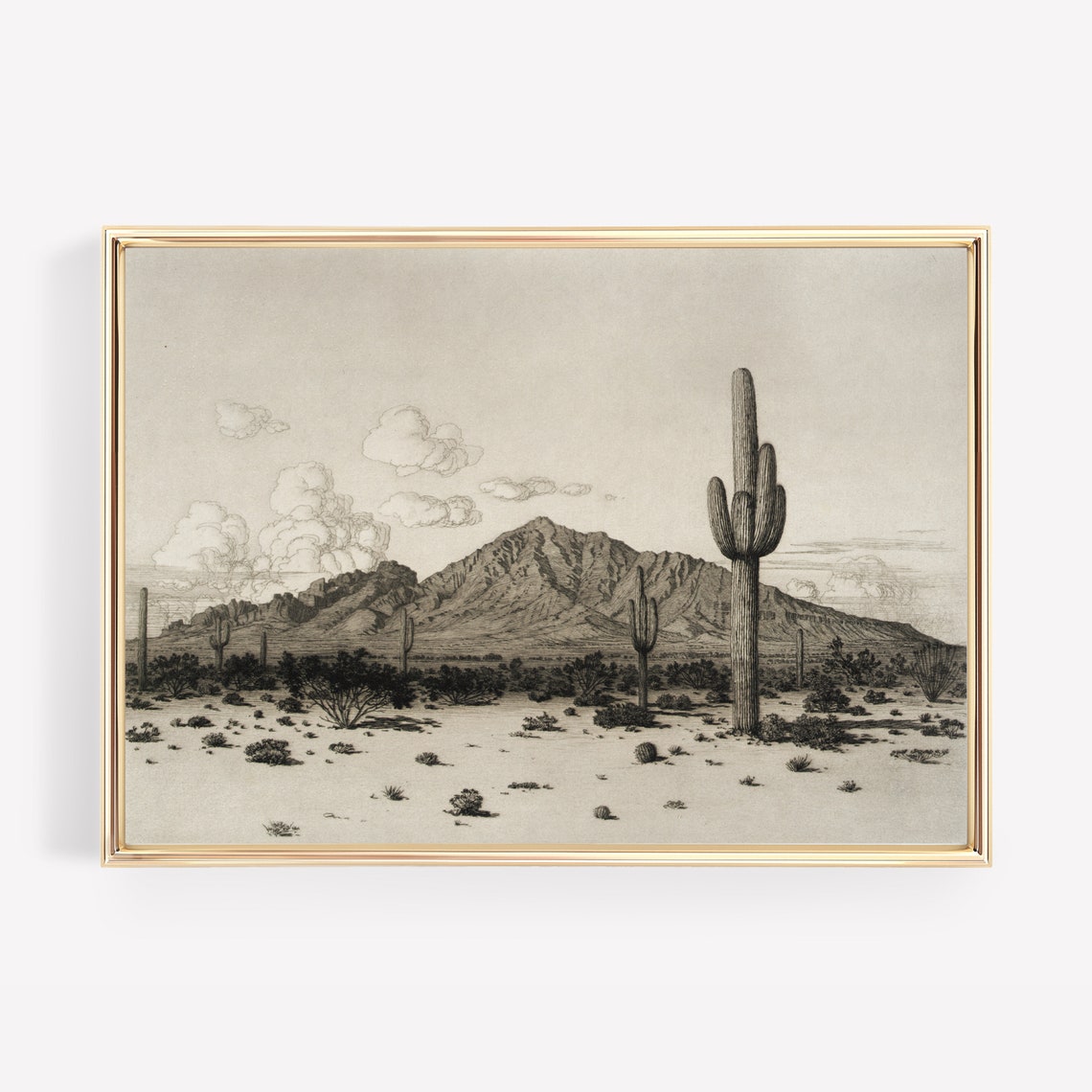 Vintage Saguaro Desert Etching Mountain Landscape Horizontal Poster