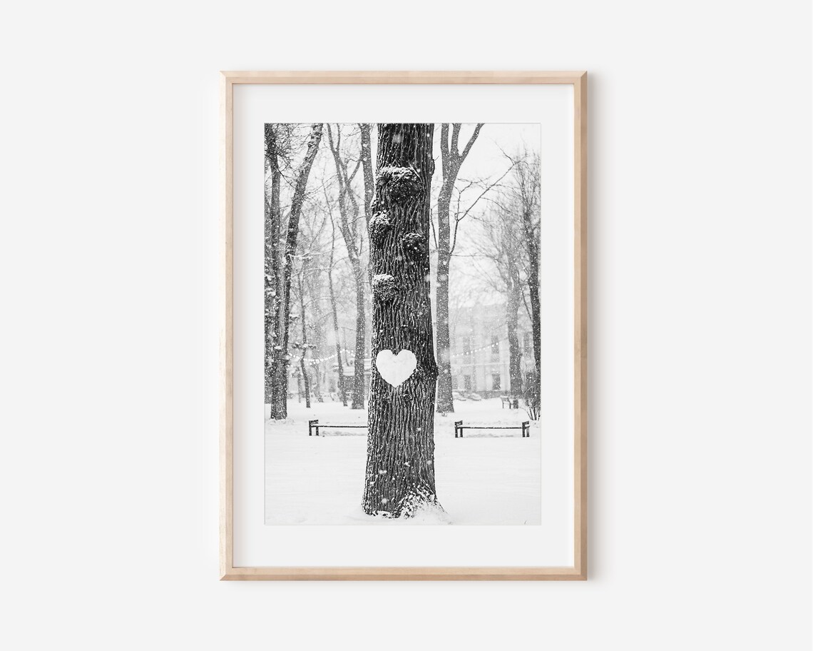 Heart Carved In Tree Trunk In Snowy Winter Park Photo Poster