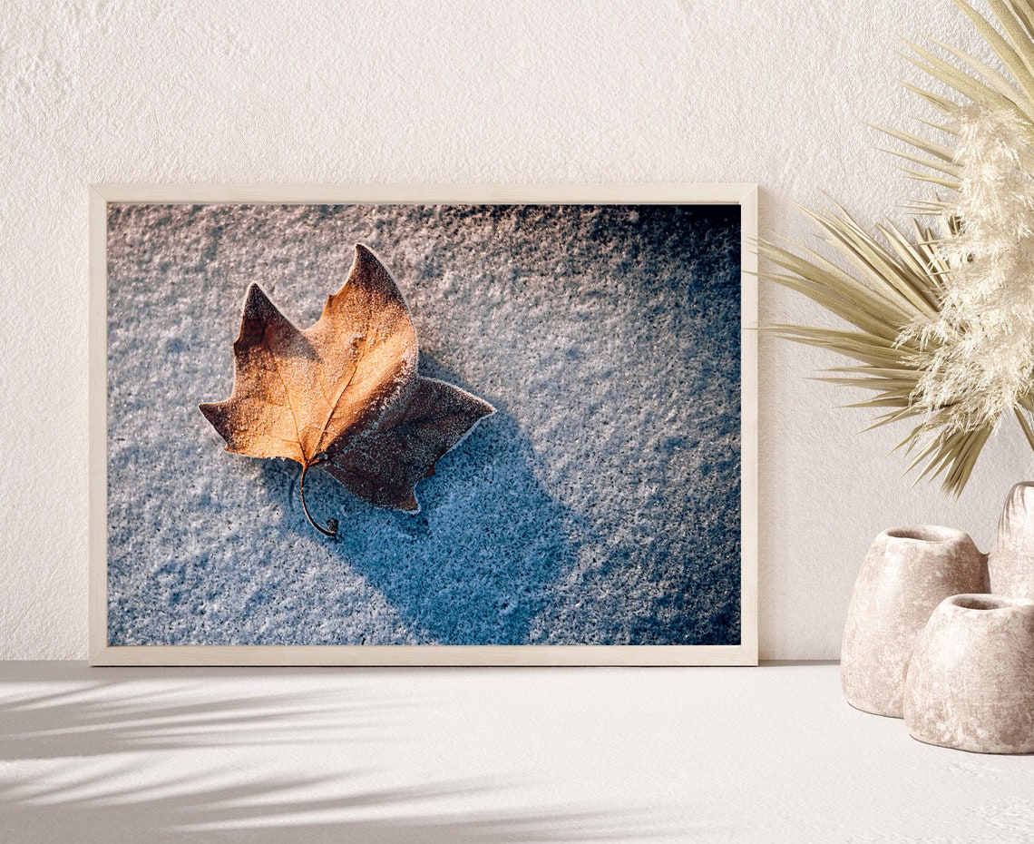 Frost Covered Golden Leaf Resting On Sparkling Frost Photo Poster - Image 3