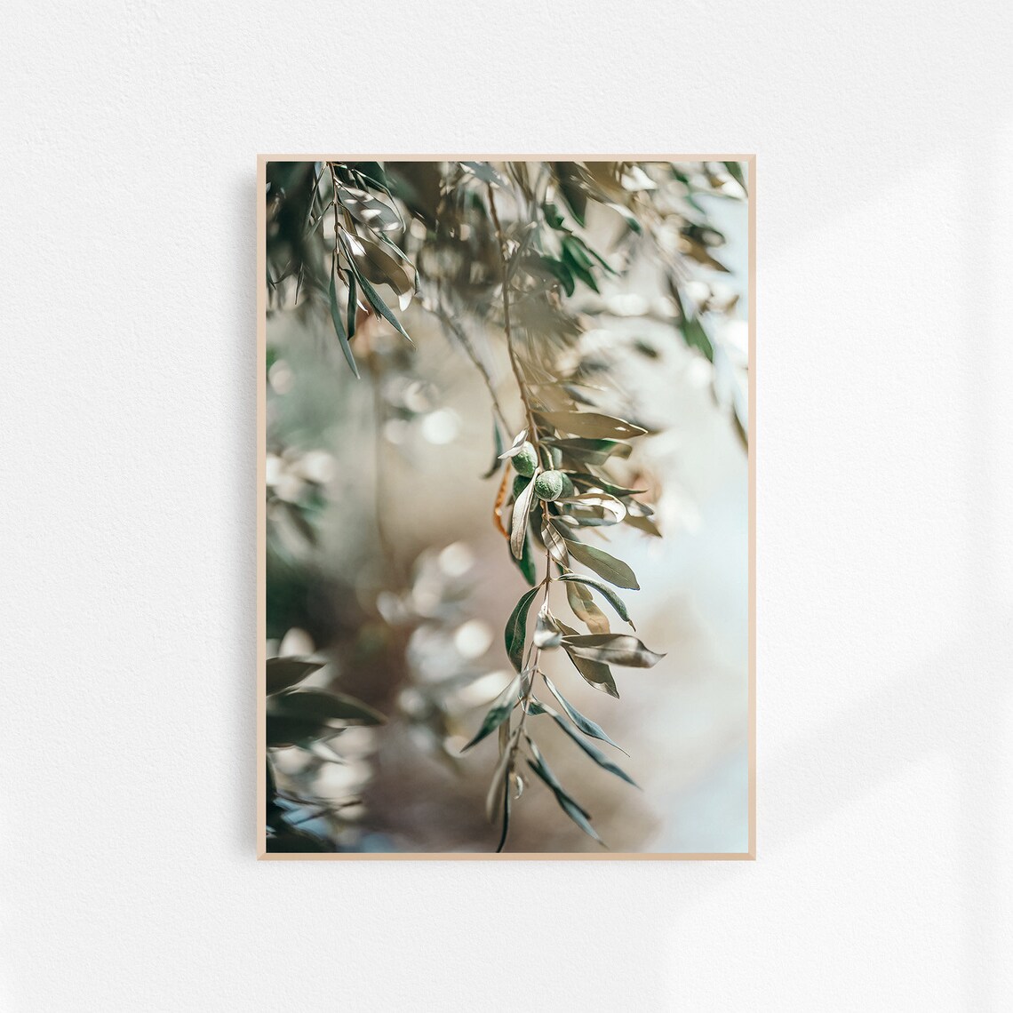 Olive Branch With Green Olives Soft Botanical Photography Poster