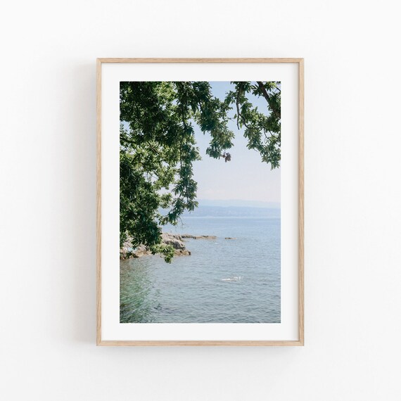 Calm Blue Sea Through Green Branches Rocky Coast Nature Poster