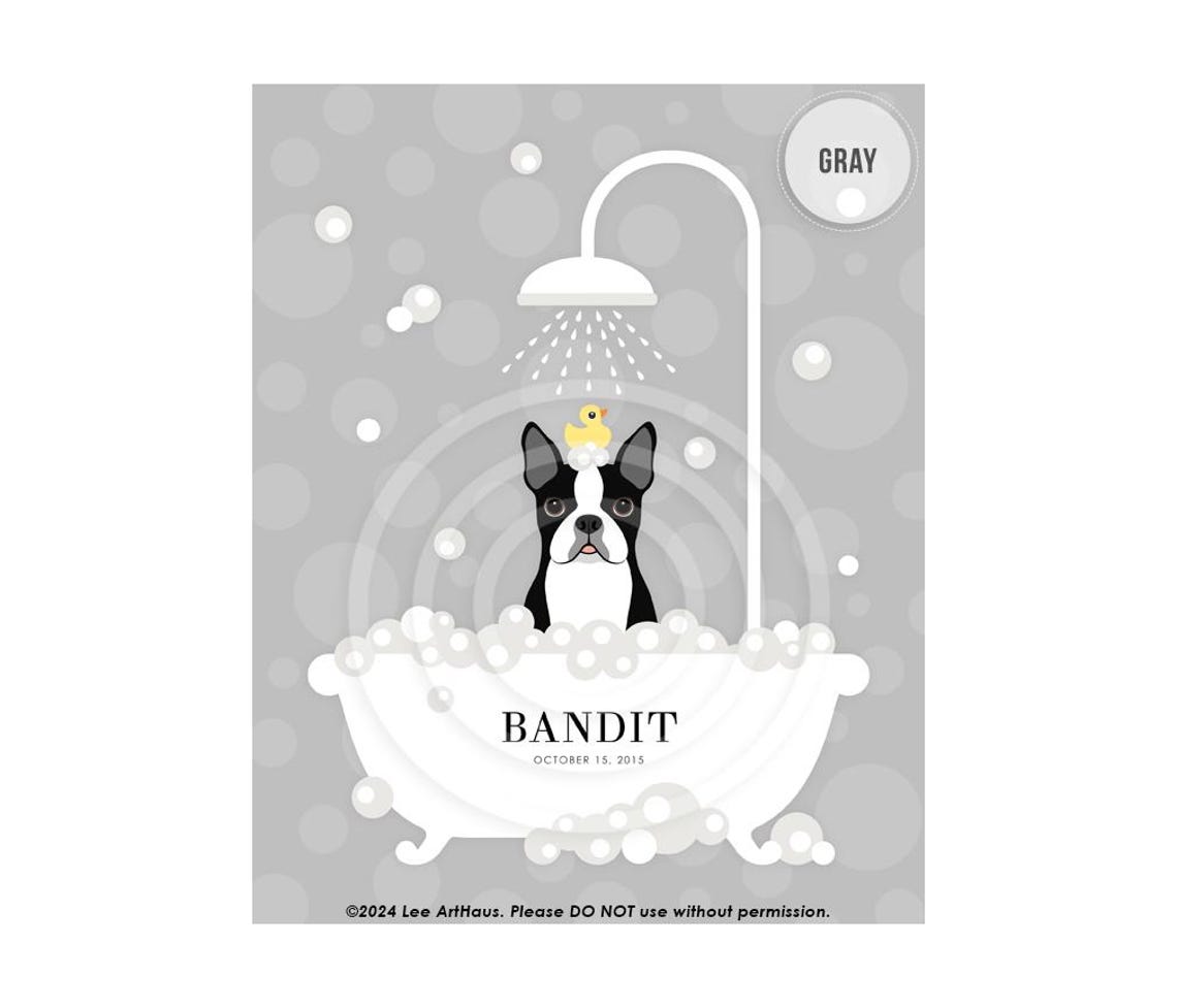 Personalized Boston Terrier In Shower Bath Name Bandit Dog Poster - Image 3