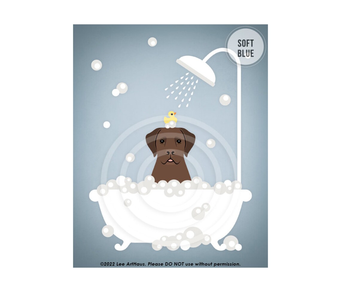 Chocolate Labrador In Shower Bathtub With Rubber Duck Dog Bath Poster - Image 2