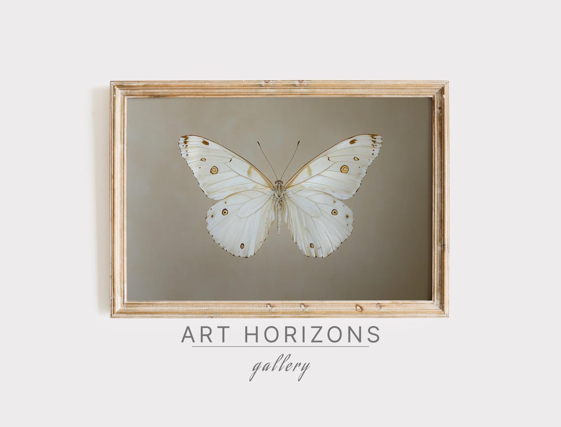 White Butterfly Spotted Wings Neutral Taupe Vintage Entomology Poster