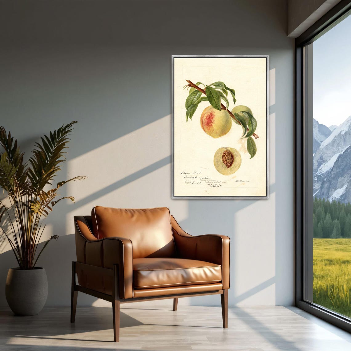Chinese Peach On Branch With Pit Antique Botanical Study Art Poster - Image 2