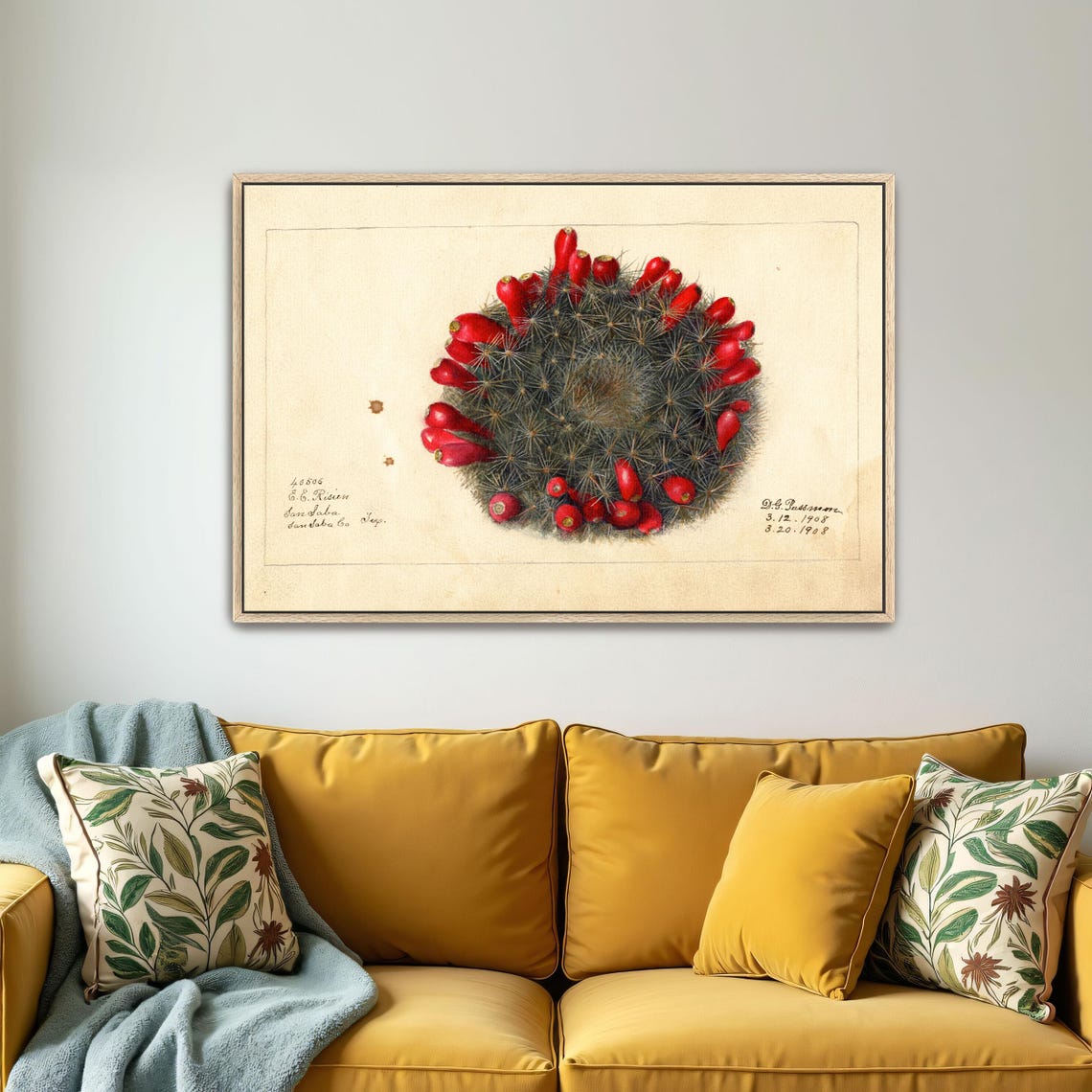 Barrel Cactus with Red Fruits Vintage Botanical Study Poster - Image 5