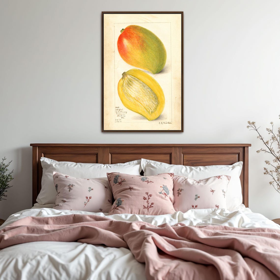 Mango Whole And Halved Vintage Botanical Fruit Illustration Poster - Image 5