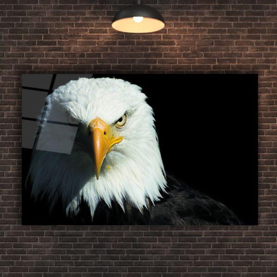 Majestic Bald Eagle Intense Powerful Gaze Dramatic Wildlife Poster - Image 2
