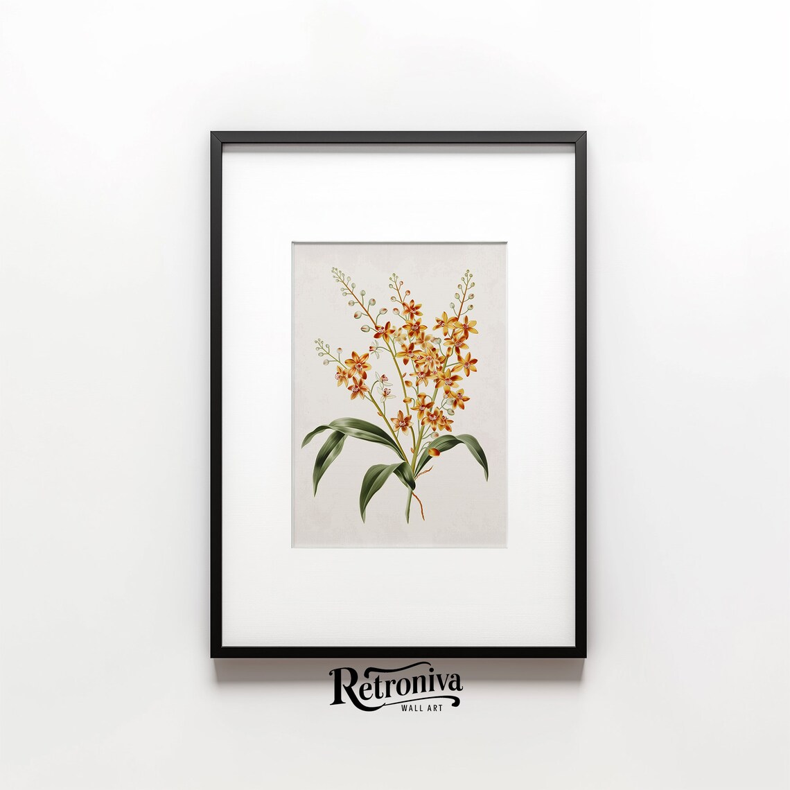 Vintage Orchid Flower Art Print, Minimalist Botanical - Image 6