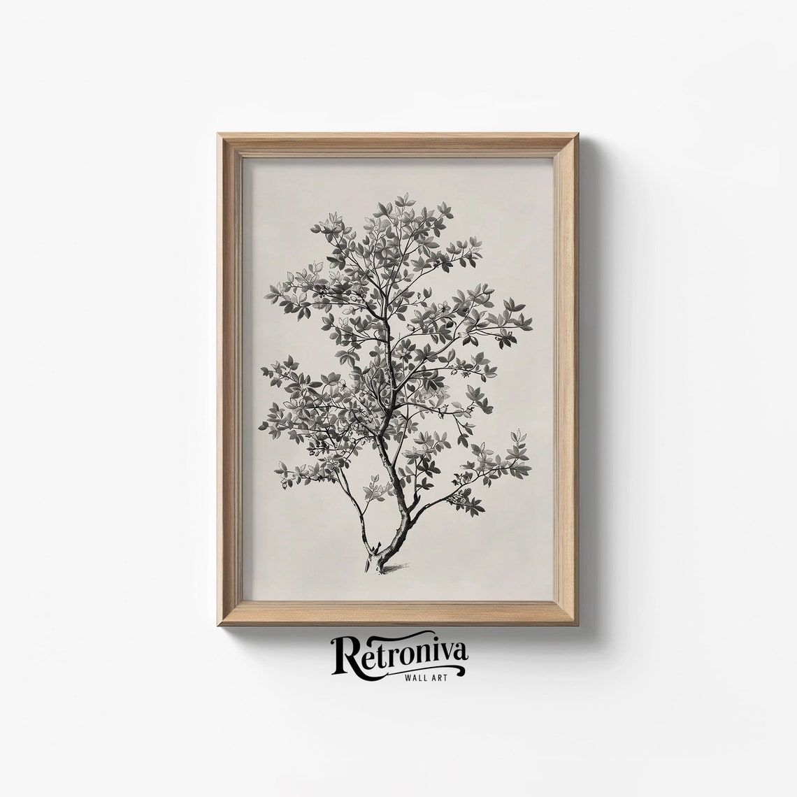 Antique Black And White Botanical Shrub Drawing Vintage Poster
