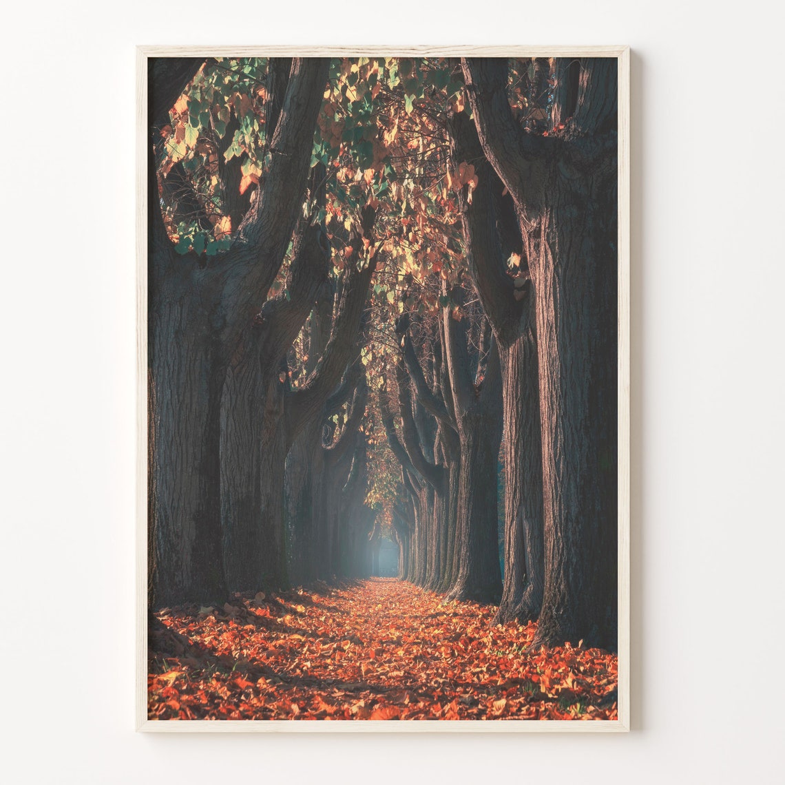 Autumn Tree Lined Avenue Golden Leaves Fall Walk Photo Poster