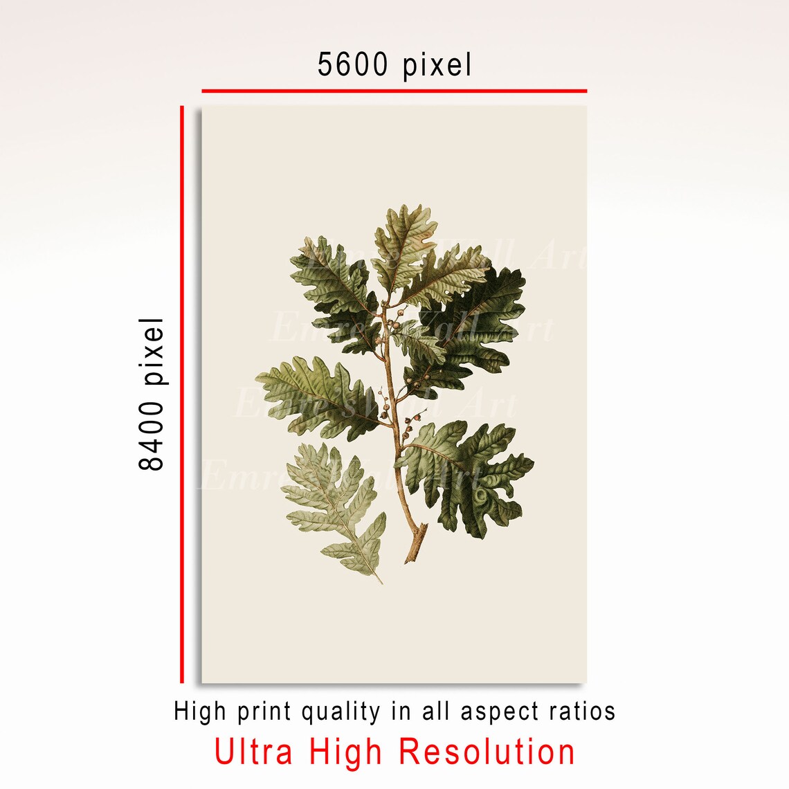 Vintage Botanical Tree Branch Art Print, Rustic Sketch - Image 3